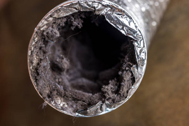 Best Duct Cleaning for Offices  in St Clair, PA