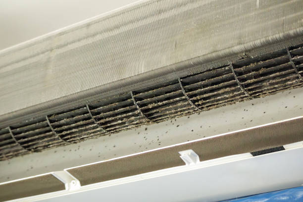 Best Air Duct Sanitizing Services  in St Clair, PA